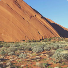 浪漫的网络ddos攻击软件